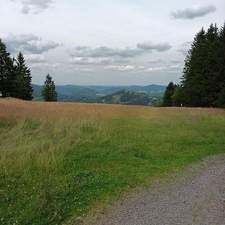 Ferienhaus Usseln Willingen  Dış mekan fotoğraf